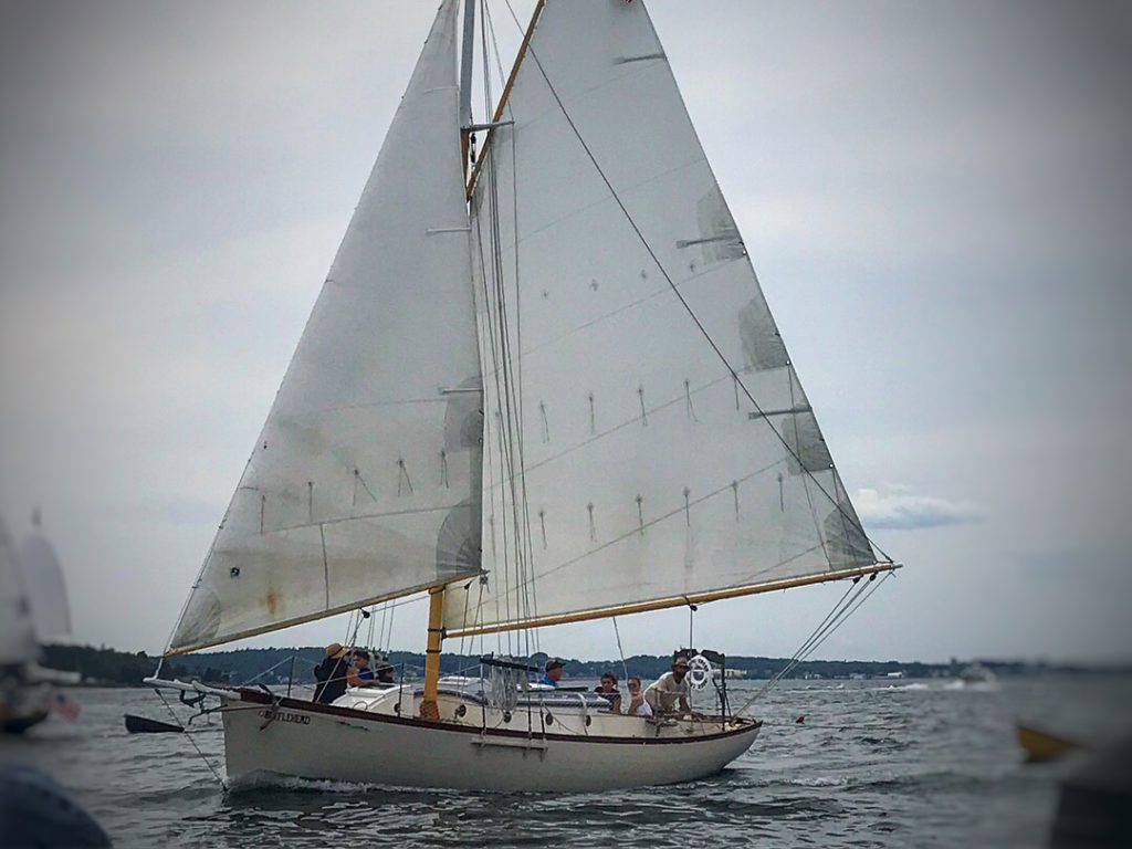 Bufflehead sailing by in Rockland Harbor | RealLifeWithDad.com