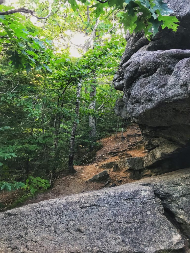 Bradbury Mountain State Park | Maine Day Hikes | Real Life With Dad